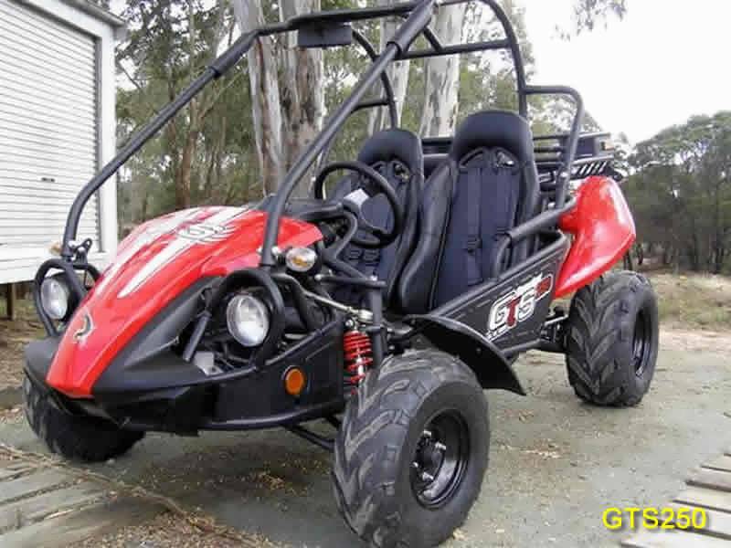 Twister best sale hammerhead 250